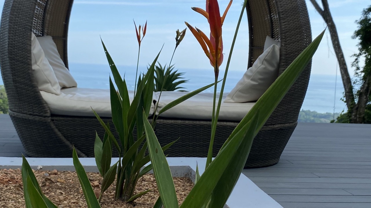Photo of Outdoor in Ballena