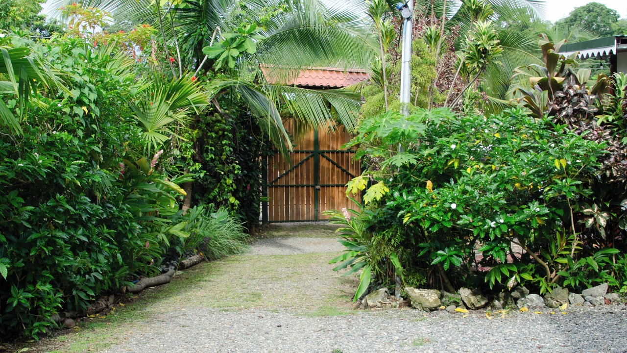 Photo of Outdoor in Puerto Viejo de Talamanca