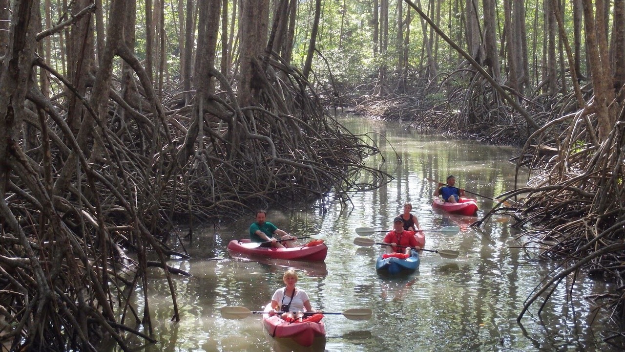Photo of Outdoor in Uvita