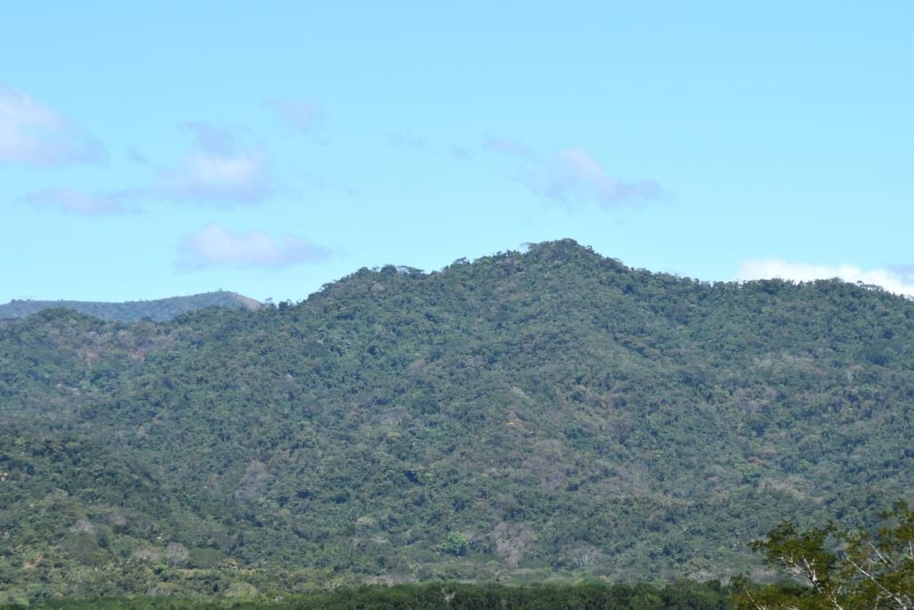 Photo of Others in Caletas
