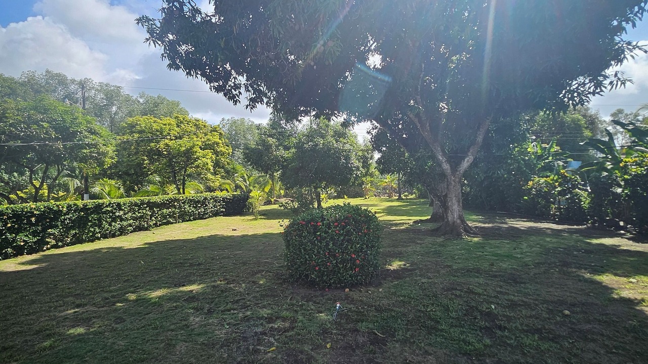 Photo of Outdoor in Parrita