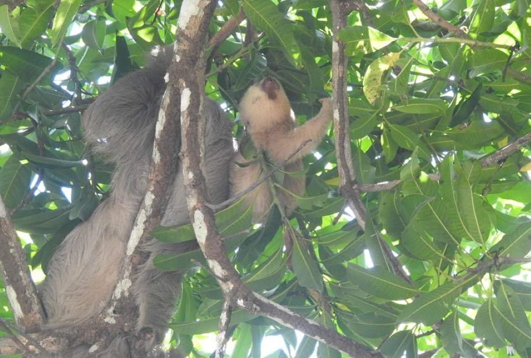 Photo of Outdoor in Parrita