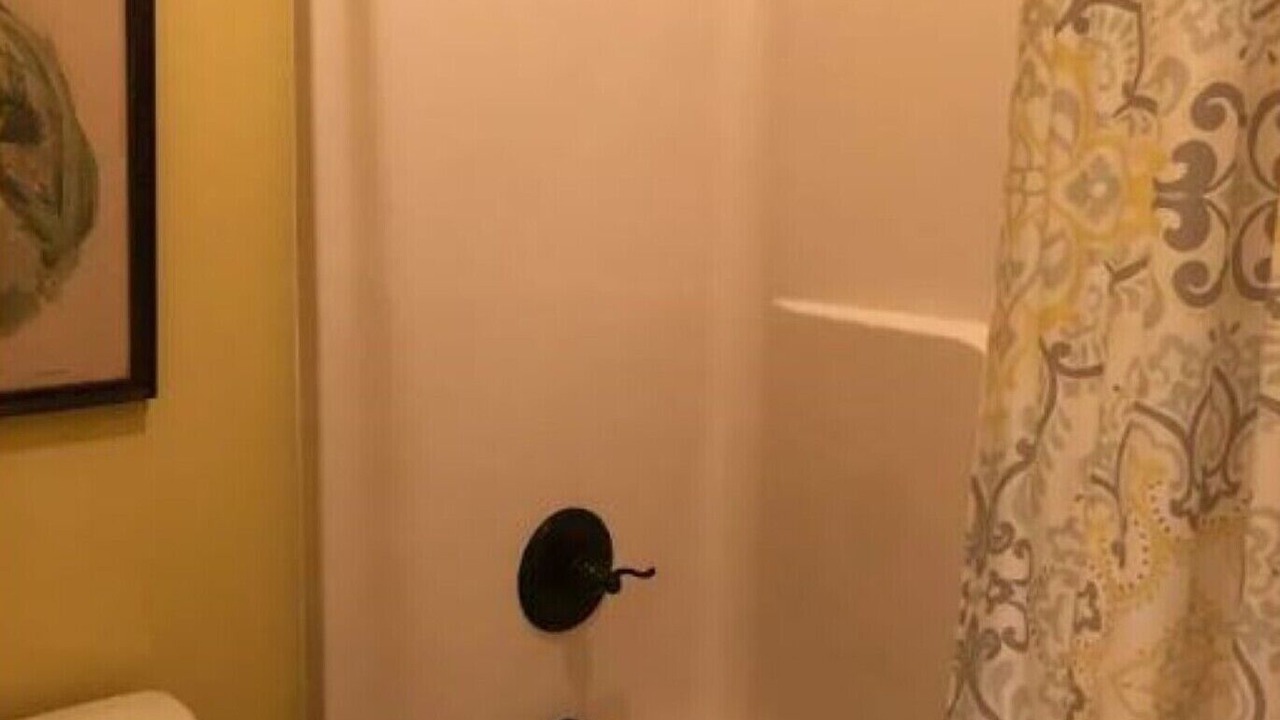 Photo of Bathroom in Landrum