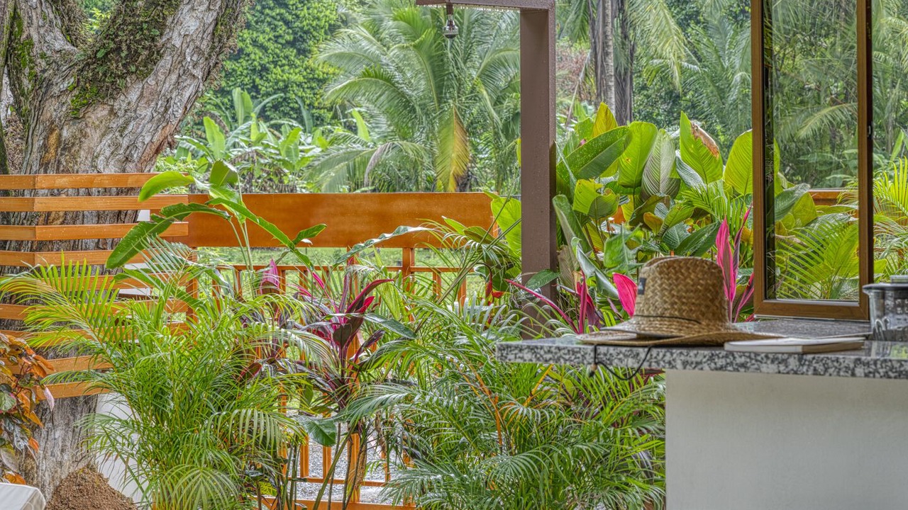 Photo of Outdoor in Dominical
