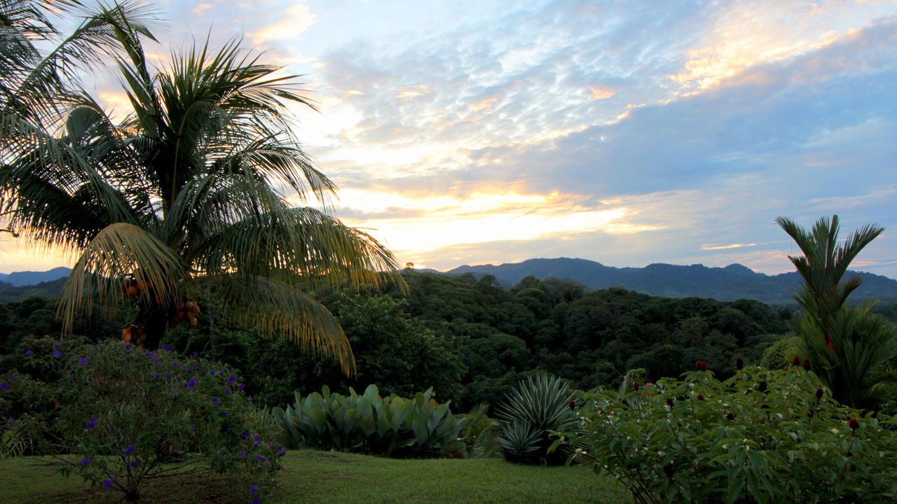 Photo of Others in Quepos