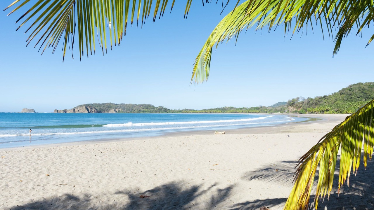 Photo of Others in Puerto Carrillo