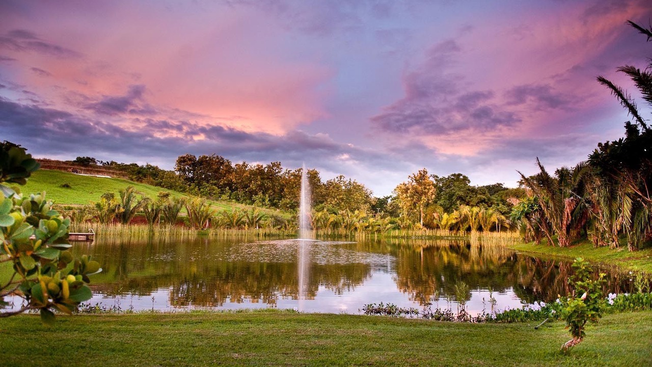 Photo of Outdoor in Puerto Carrillo