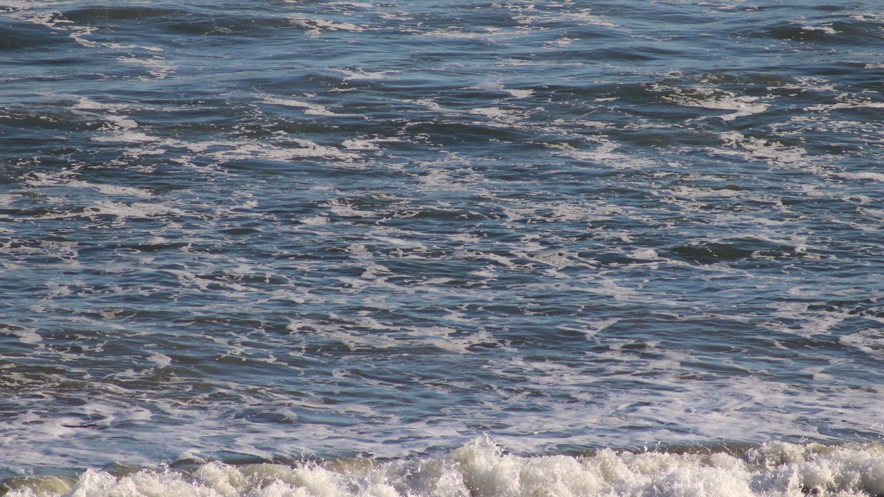 Photo of Others in Myrtle Beach