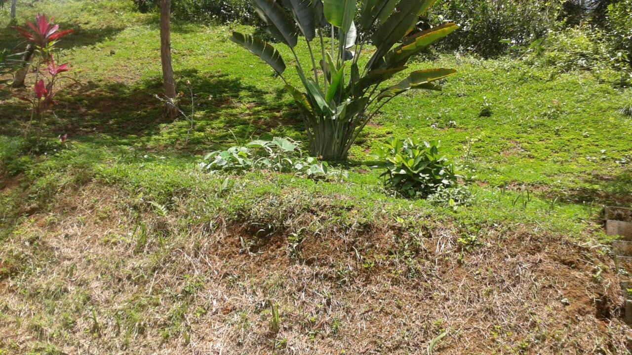 Photo of Outdoor in Baru