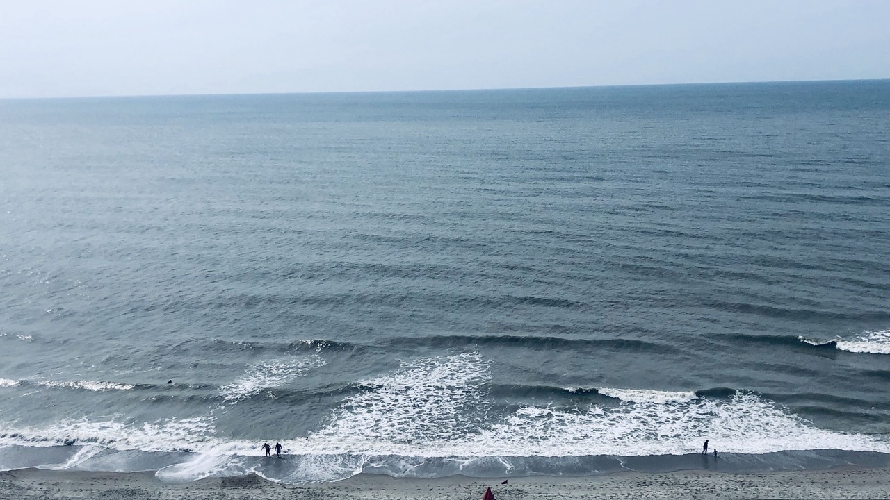 Photo of Others in Myrtle Beach