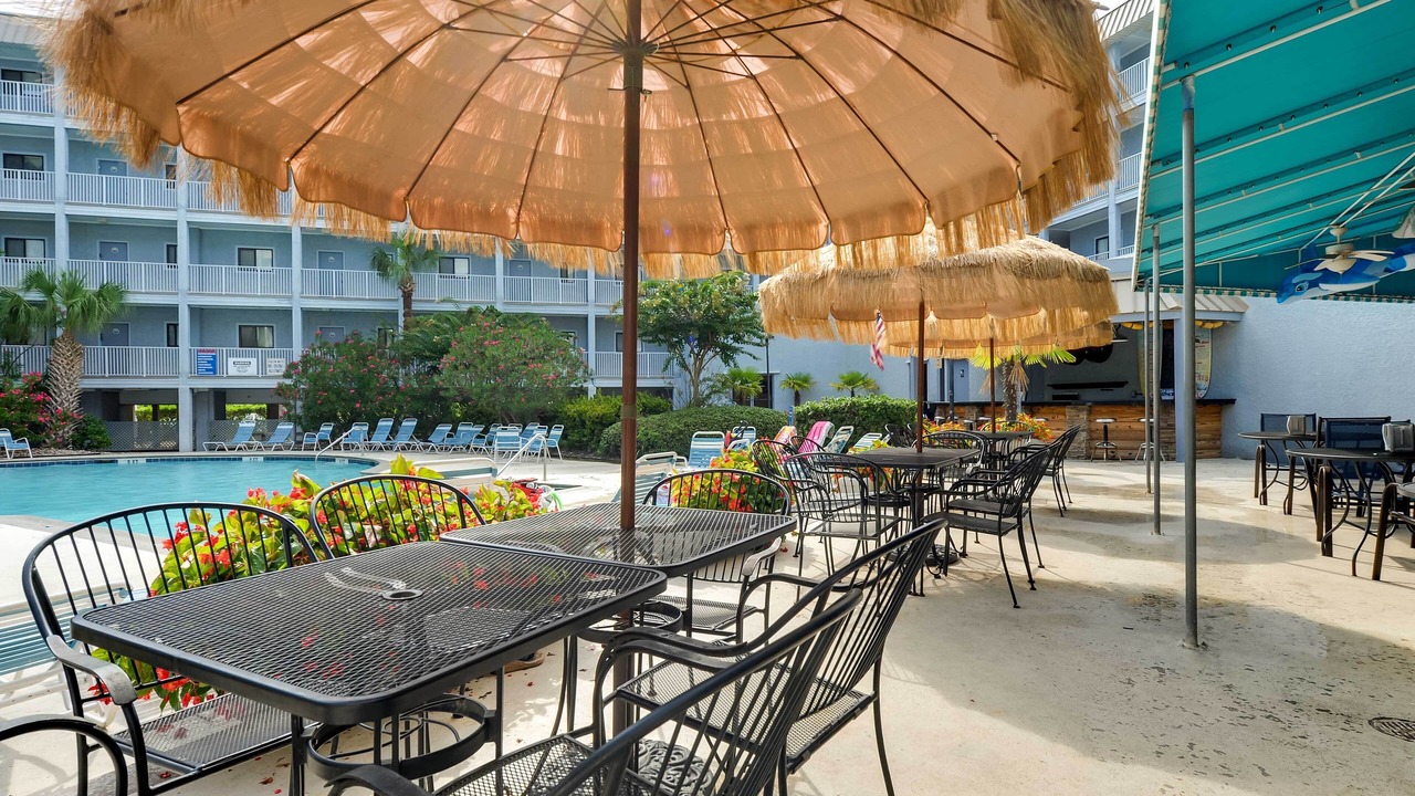 Photo of Outdoor in Palmetto Dunes