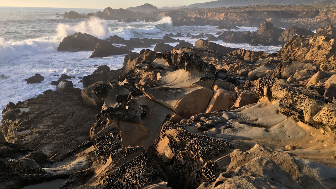 Photo of Others in Mendocino