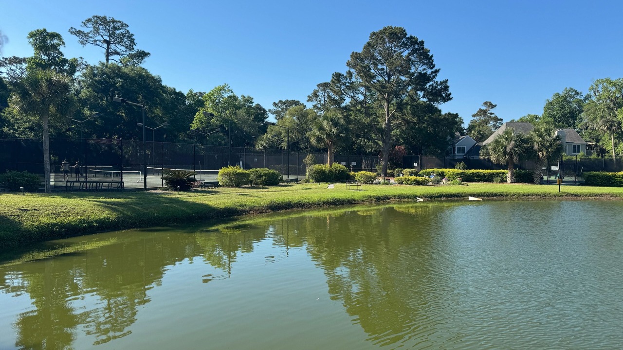 Photo of Outdoor in Shipyard Plantation