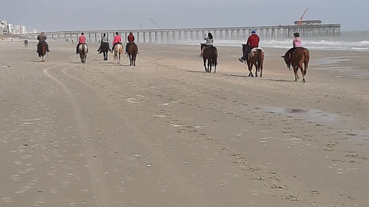 Photo of Others in Myrtle Beach