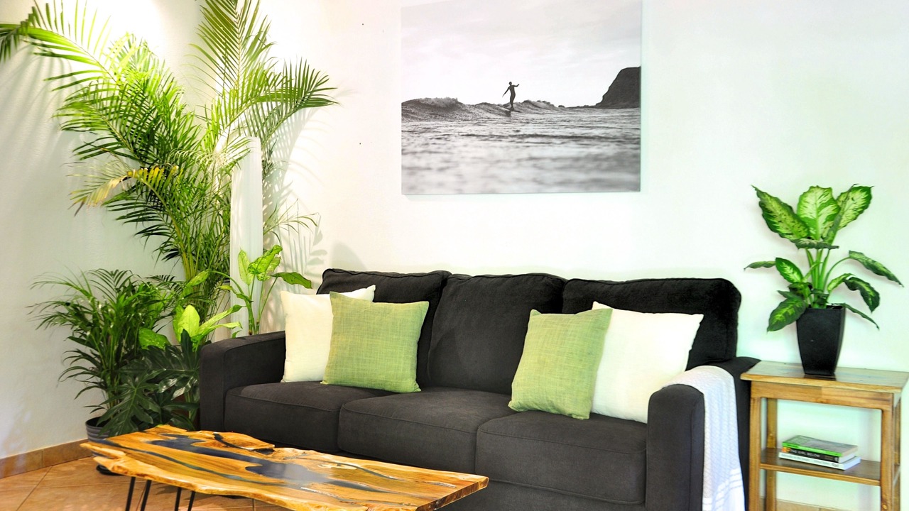 Photo of Livingroom in Tamarindo
