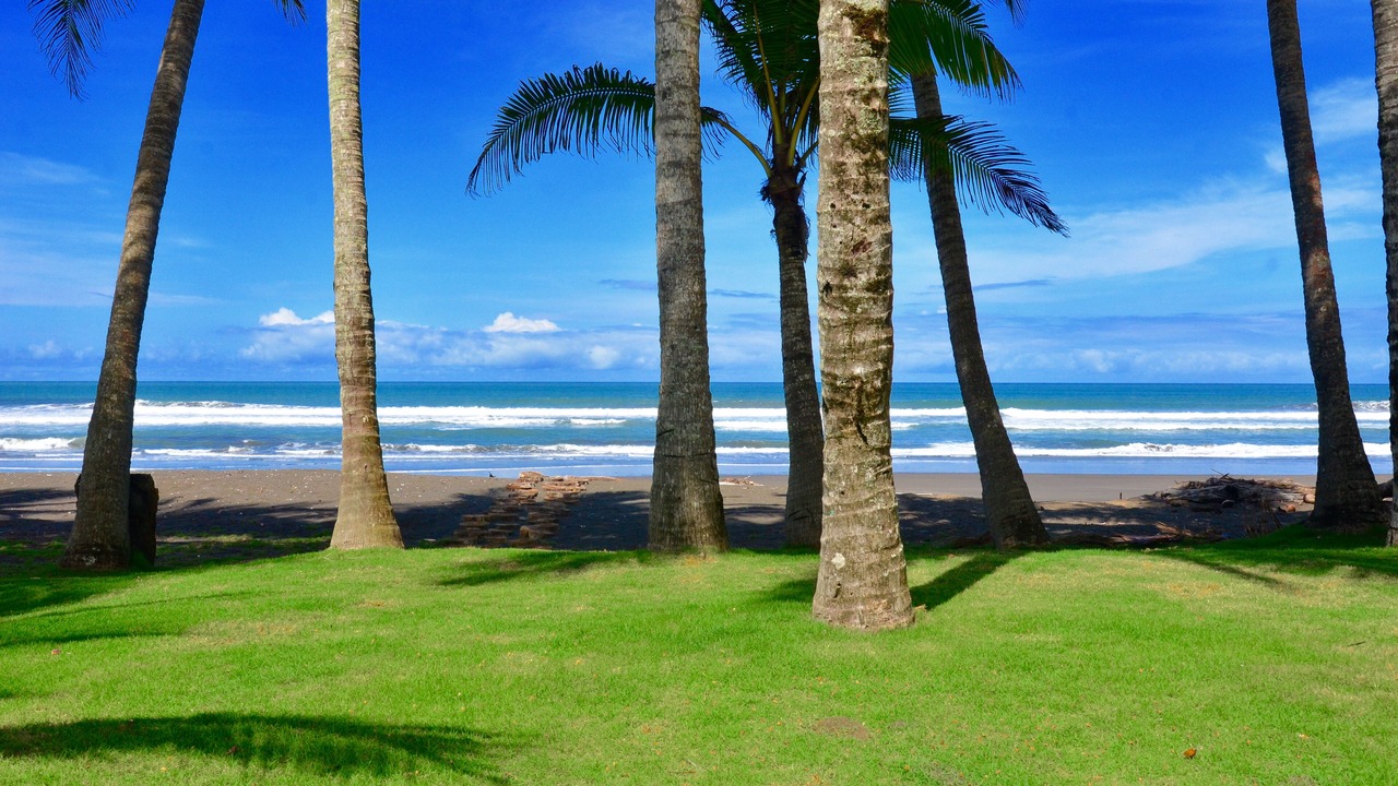 Photo of Others in Playa Hermosa
