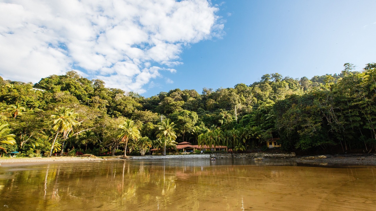 Photo of Others in Jaco