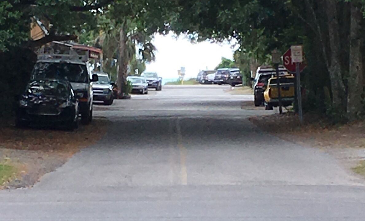 Photo of Others in Folly Beach