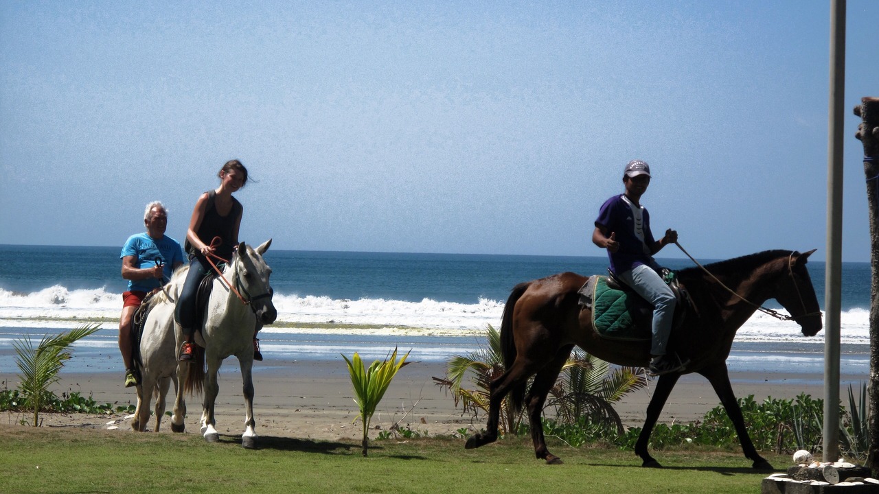 Photo of Others in Javilla
