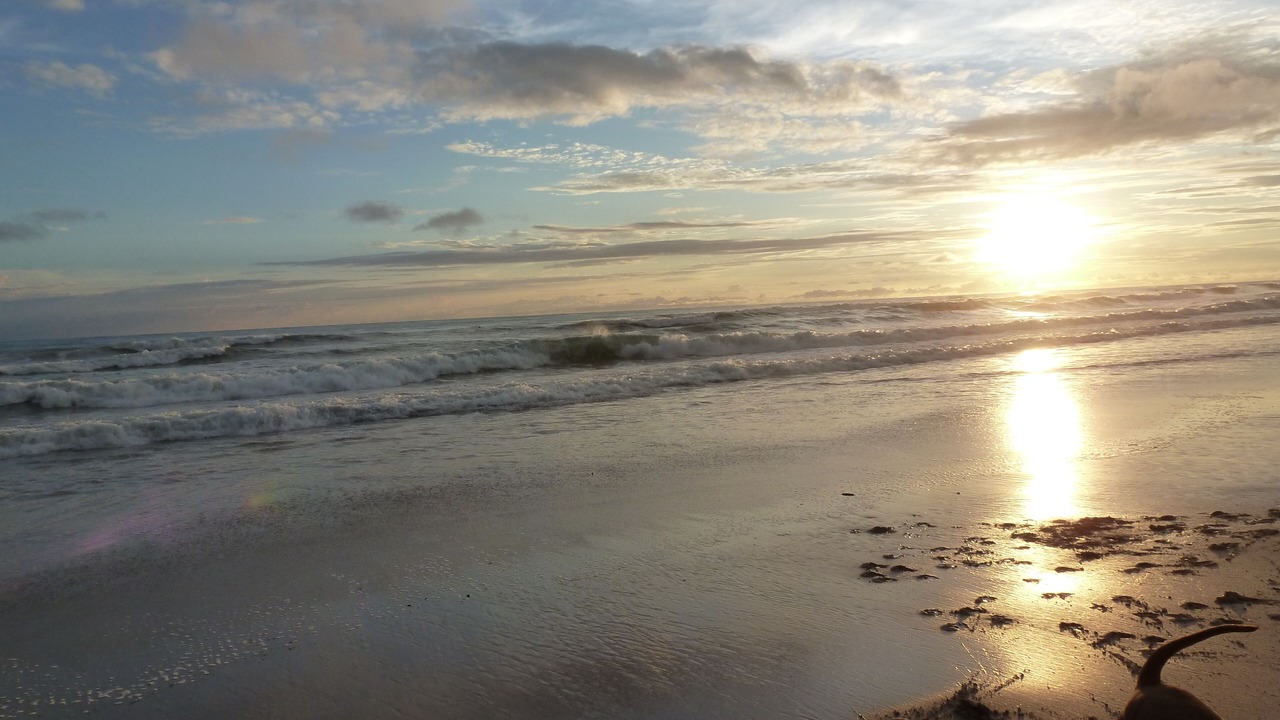 Photo of Others in Playa Santa Teresa