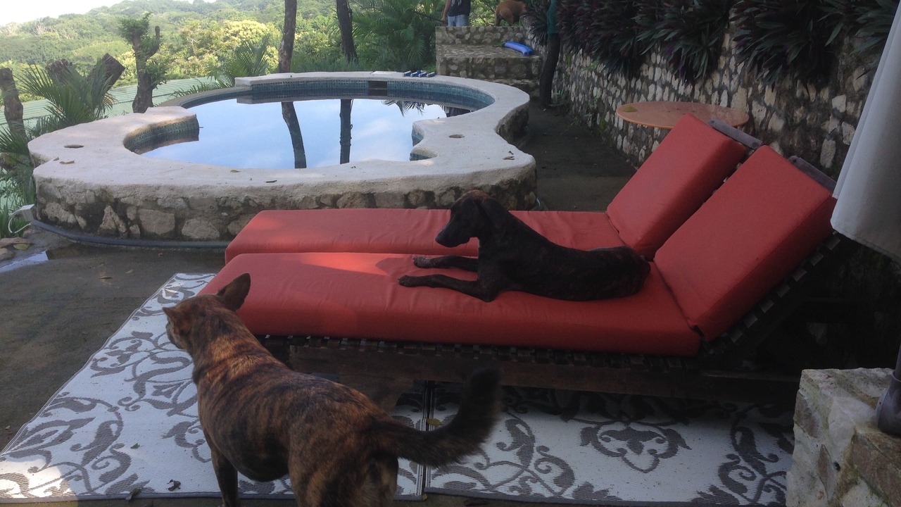 Photo of Outdoor in Playa Santa Teresa