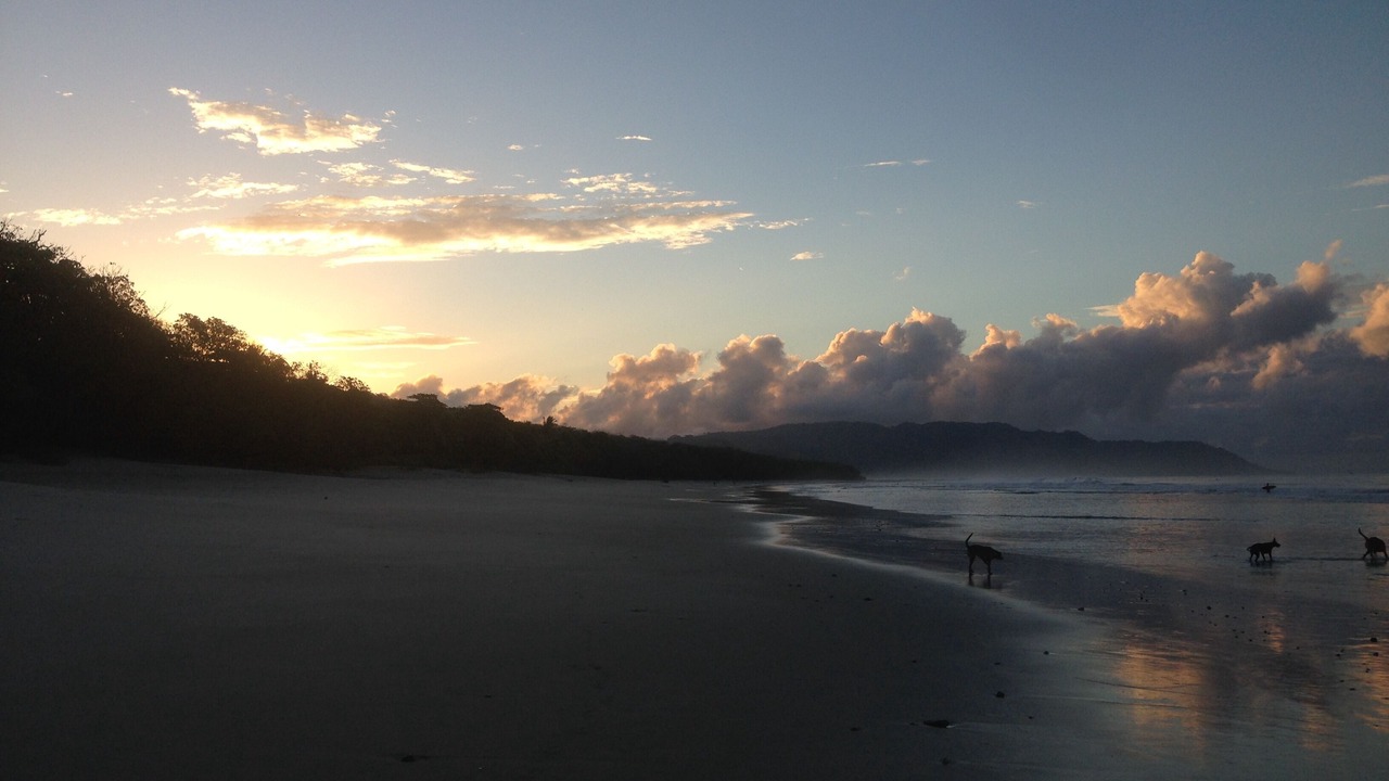 Photo of Others in Playa Santa Teresa