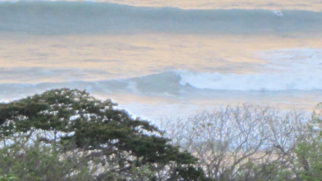 Photo of Others in Playa Santa Teresa