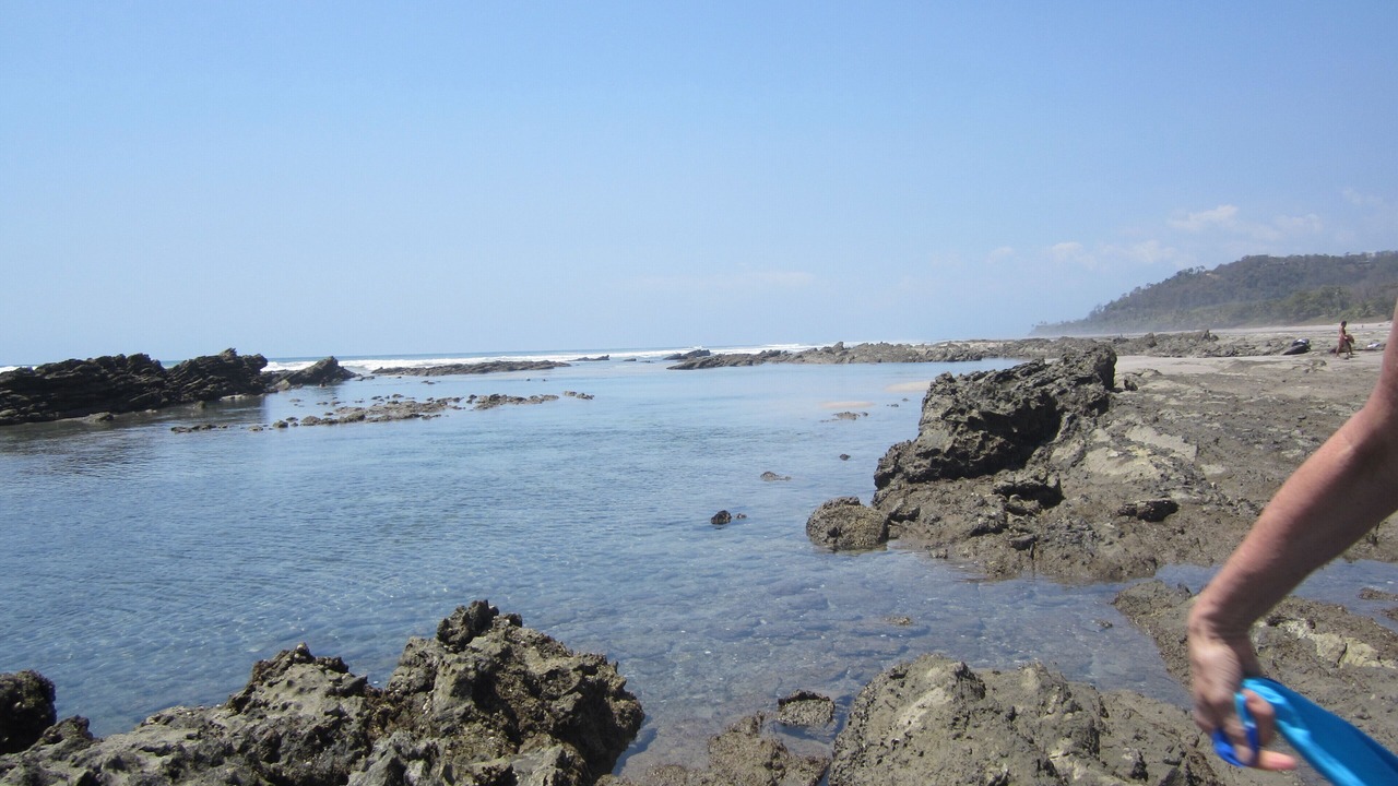 Photo of Others in Playa Santa Teresa