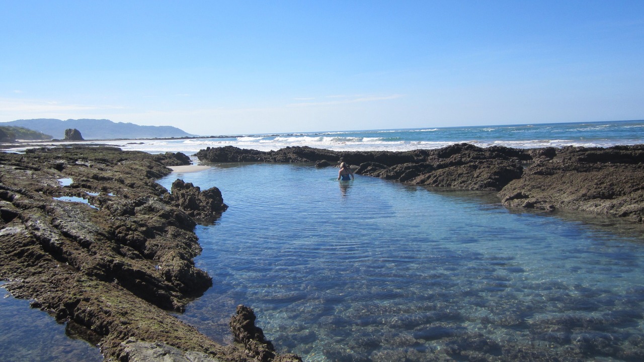 Photo of Others in Playa Santa Teresa