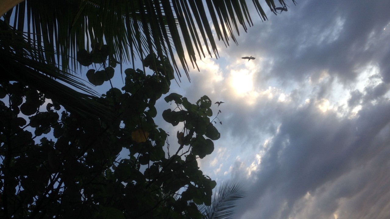 Photo of Others in Playa Santa Teresa