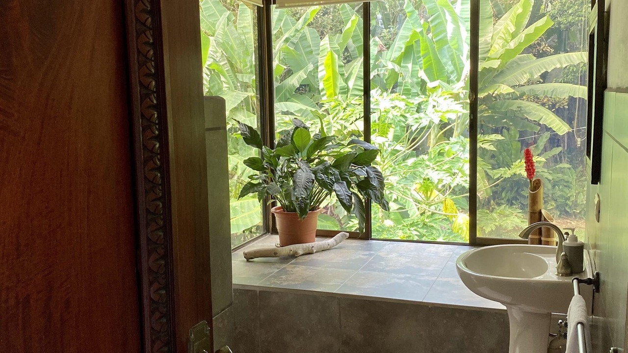 Photo of Bathroom in Ballena