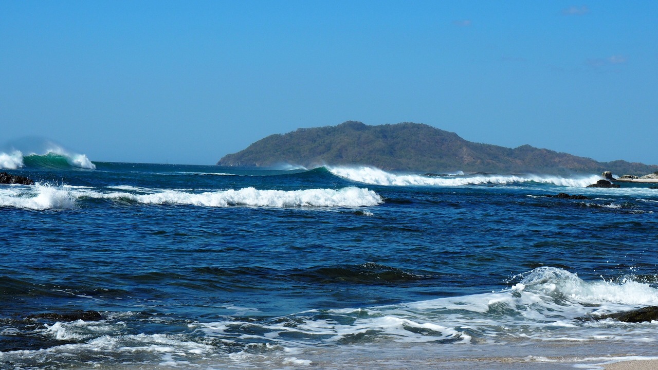 Photo of Others in Playa Langosta