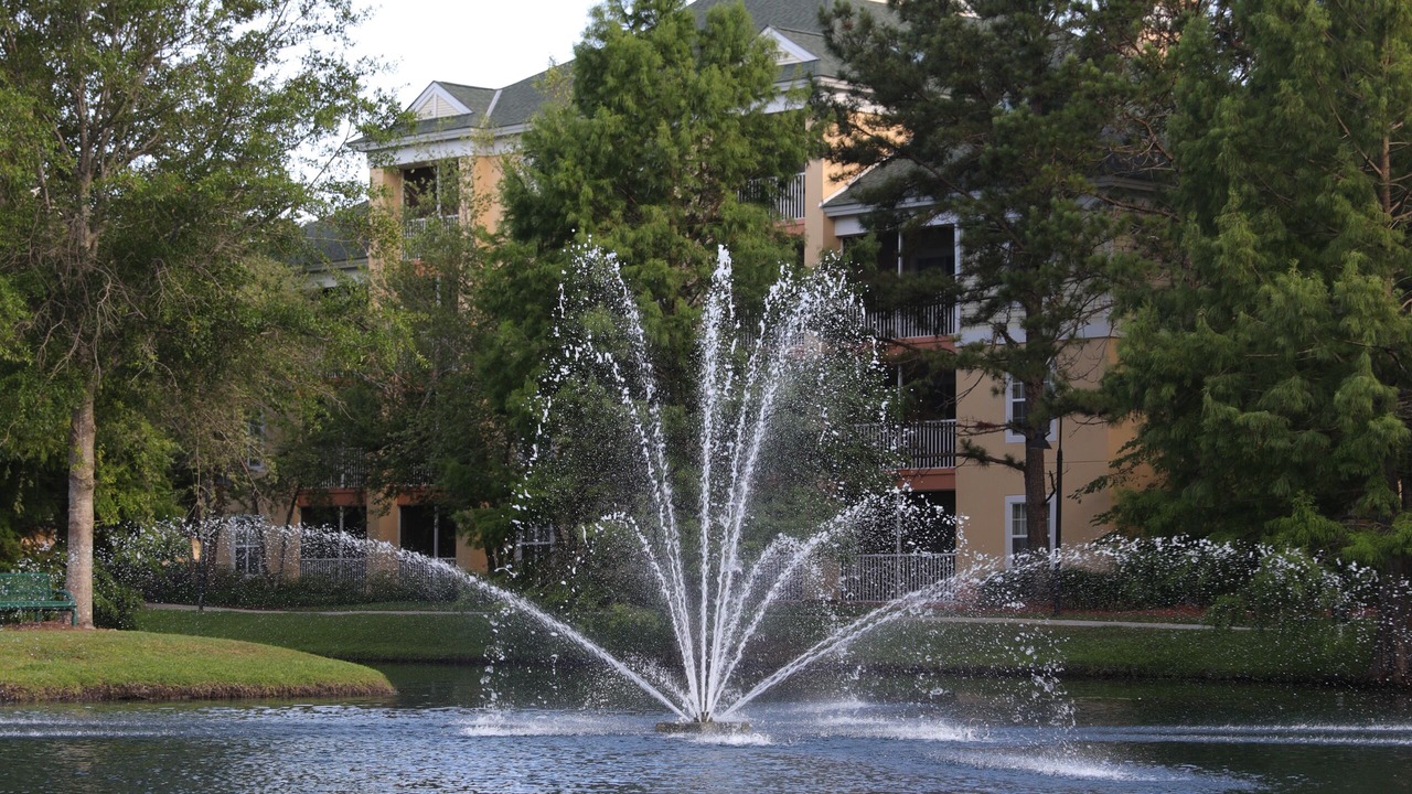Photo of Outdoor in Myrtle Beach