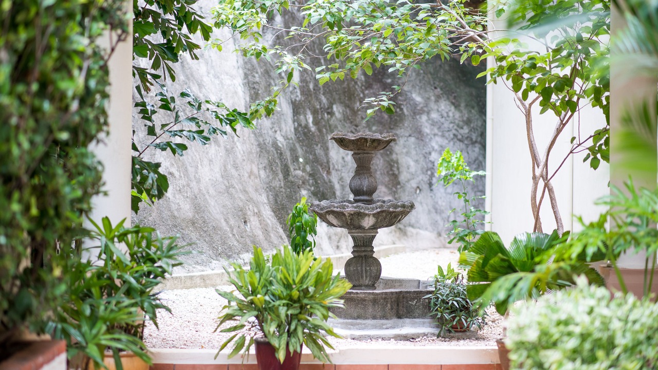 Photo of Outdoor in El Ocotal