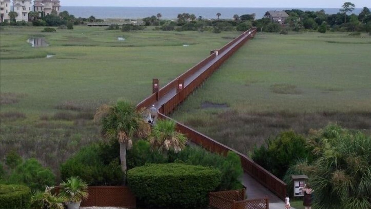 Photo of Others in Palmetto Dunes