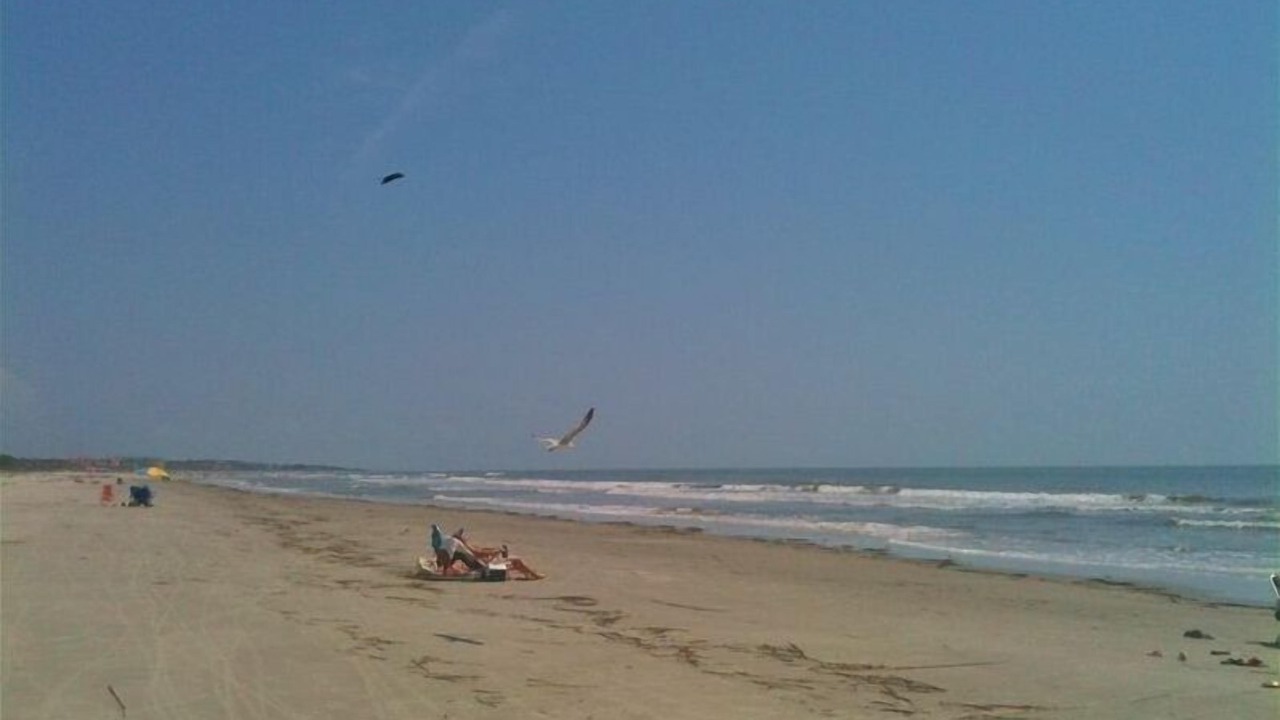 Photo of Others in Palmetto Dunes
