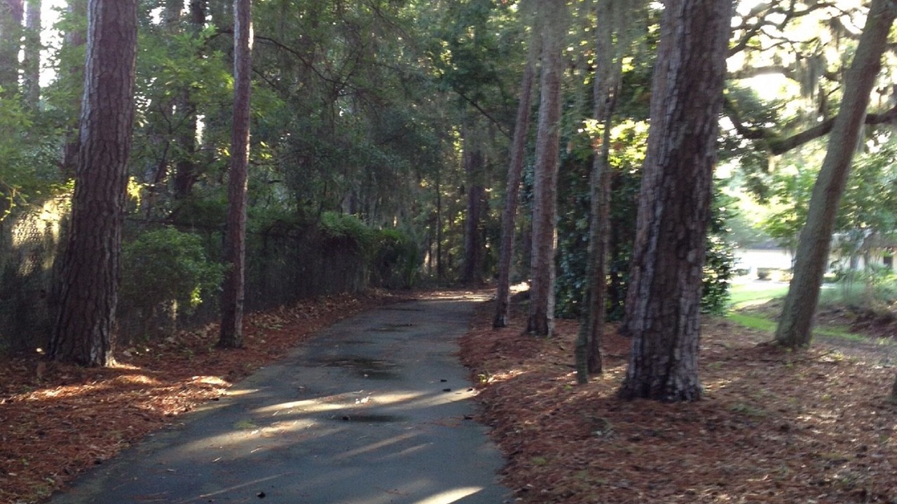 Photo of Others in Palmetto Dunes