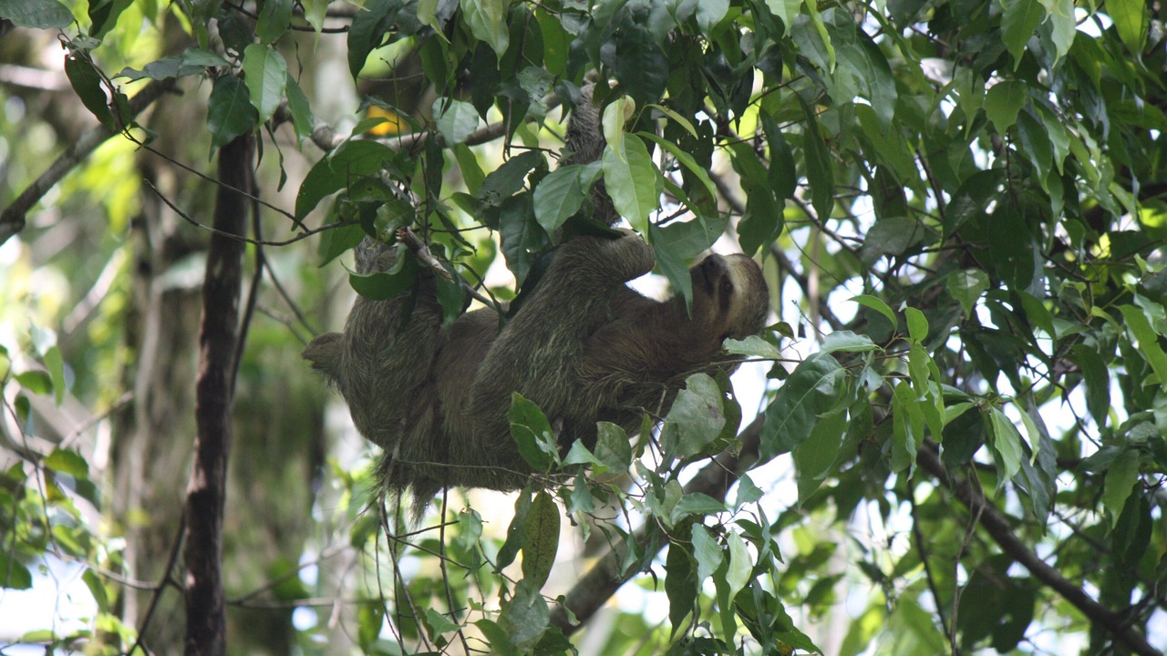 Photo of Outdoor in Tamarindo