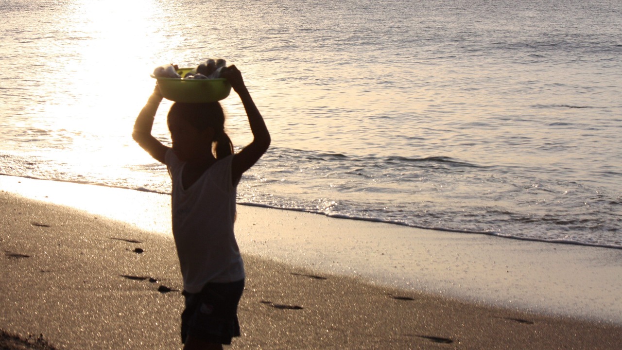 Photo of Others in Tamarindo