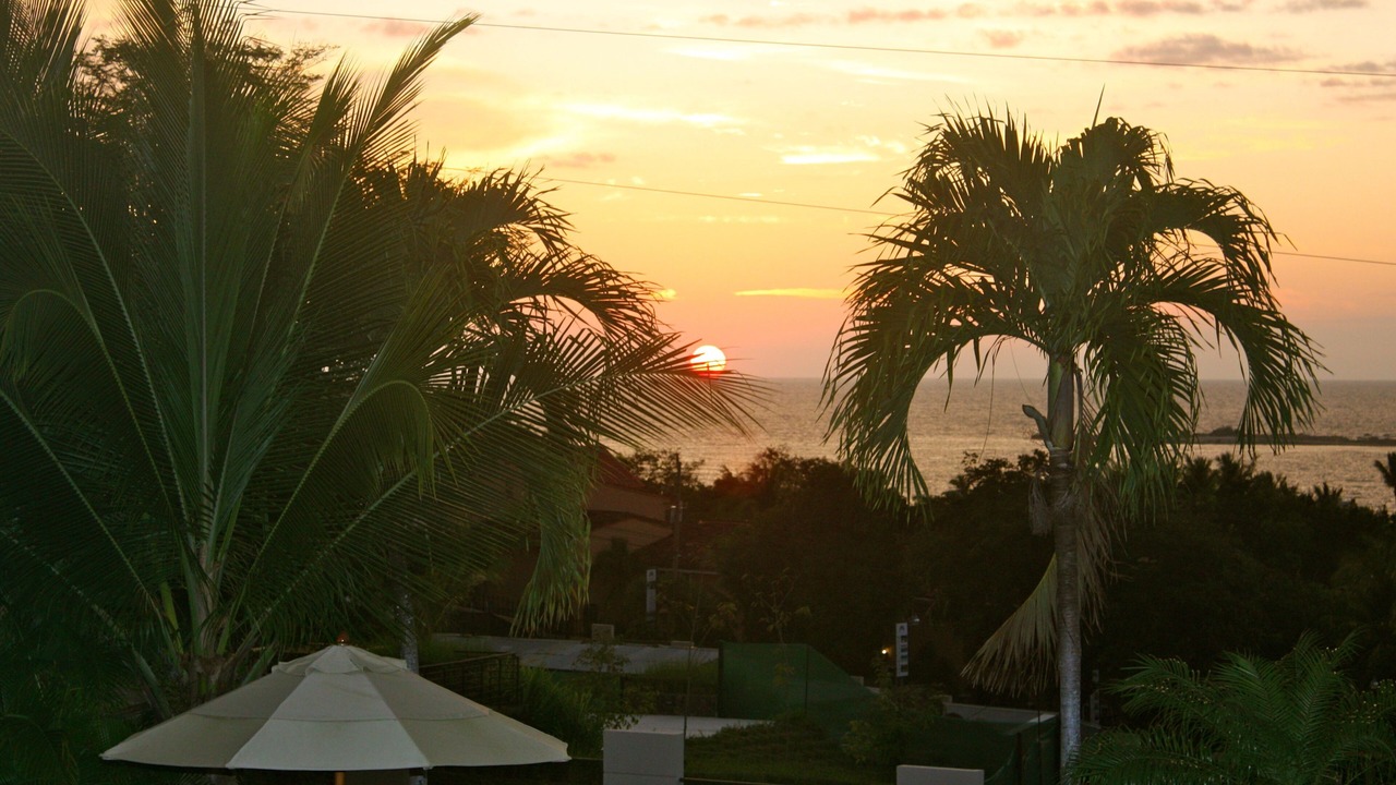 Photo of Others in Tamarindo
