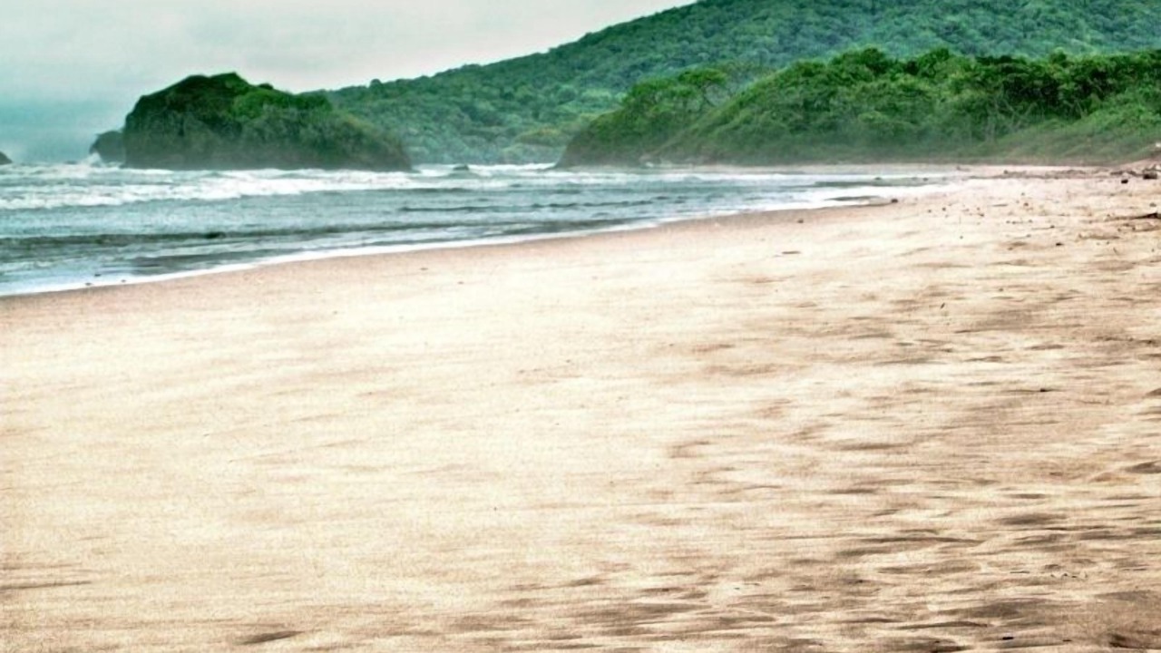 Photo of Others in Playa Grande