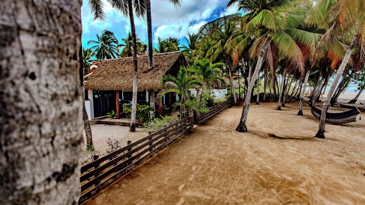 Photo of Outdoor in Playa Grande