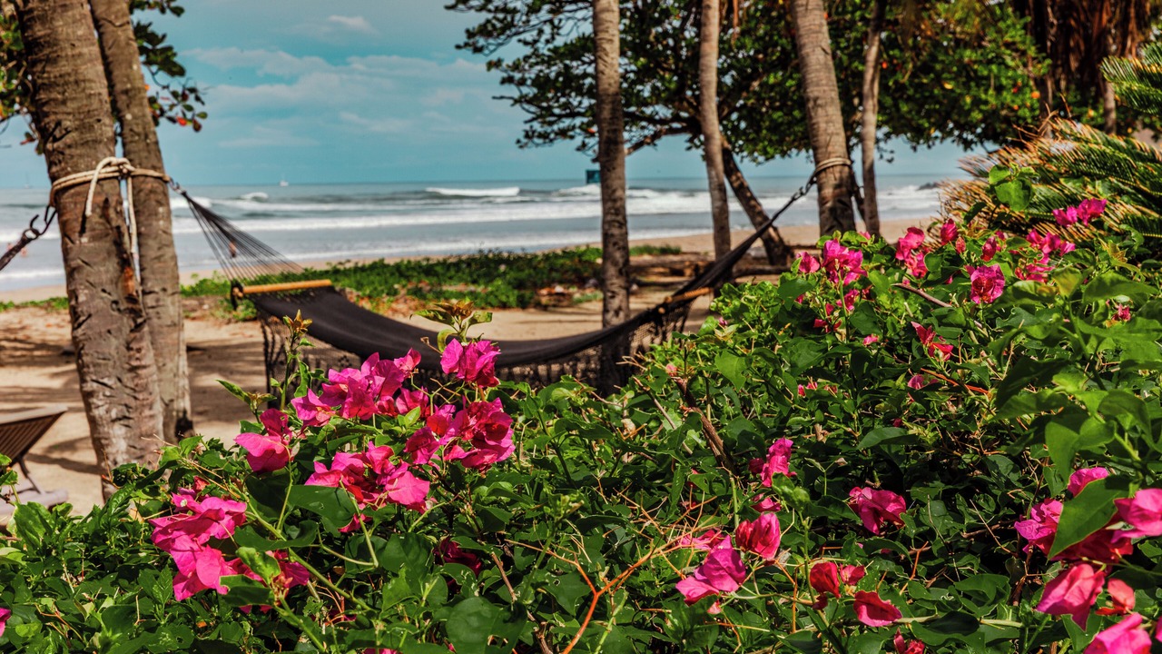 Photo of Others in Playa Grande