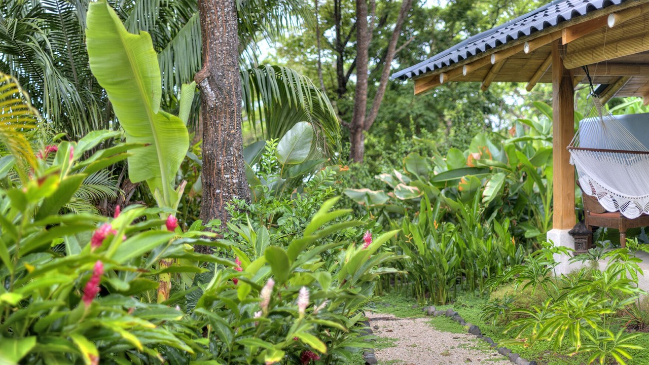 Photo of Outdoor in Playa Hermosa Cobano