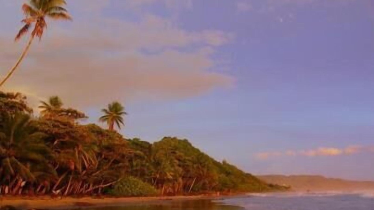Photo of Others in Playa Hermosa Cobano