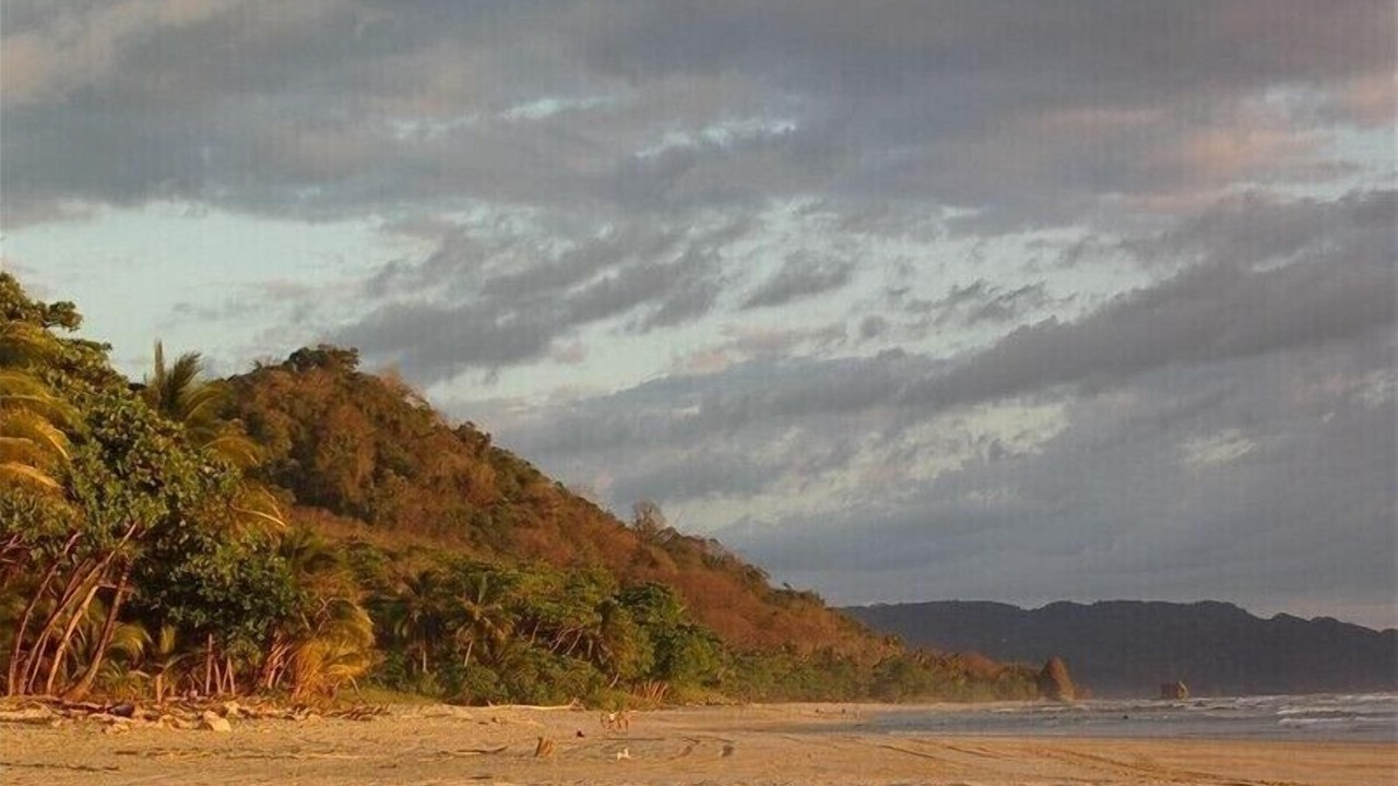Photo of Others in Playa Hermosa Cobano