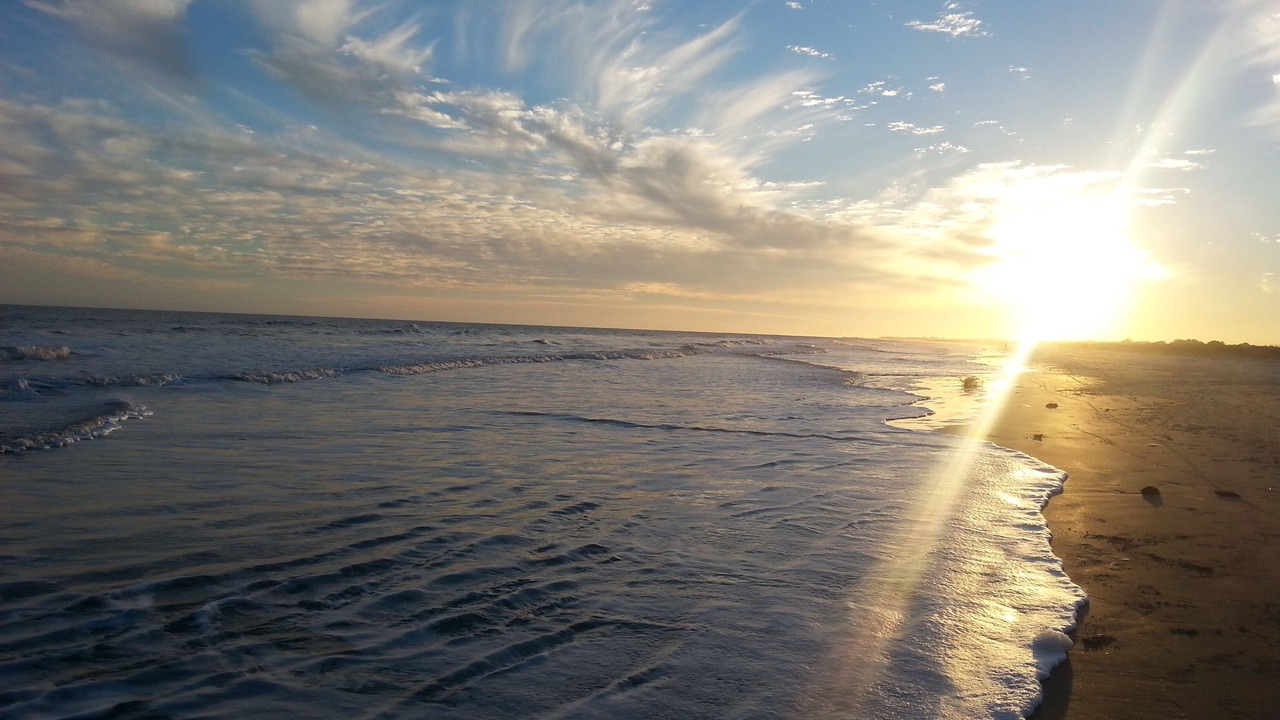 Photo of Others in West Beach