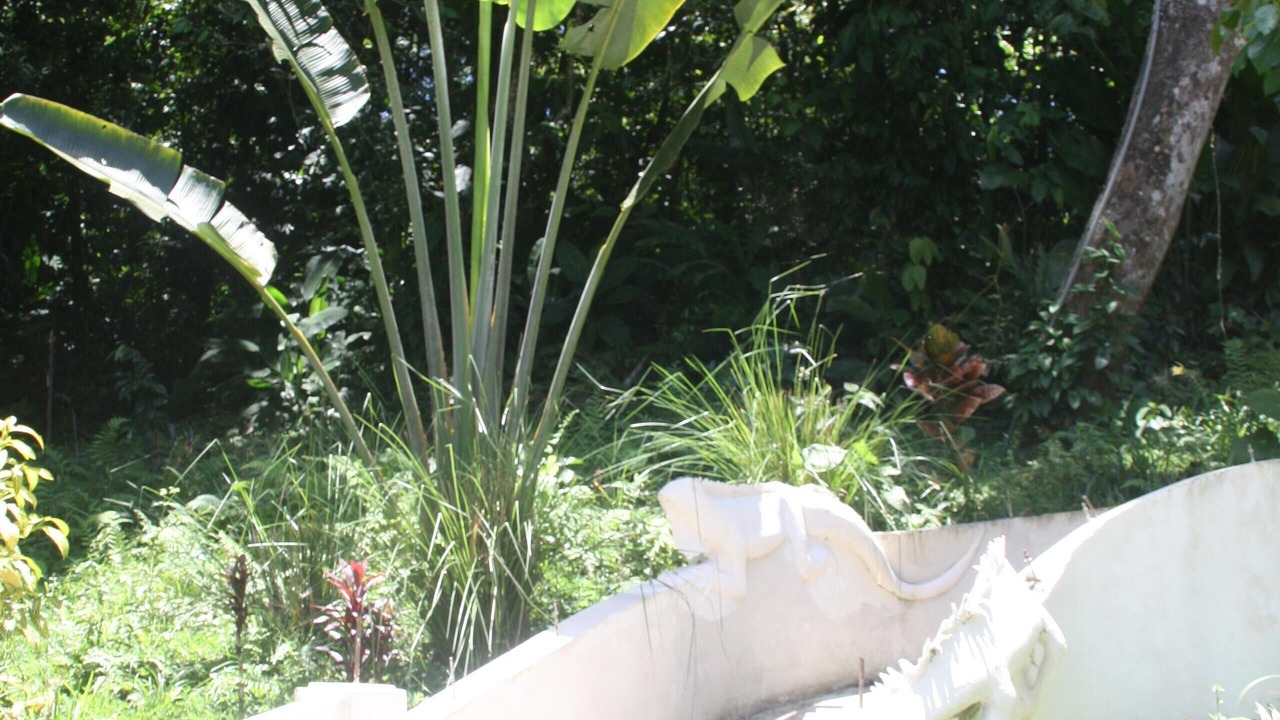 Photo of Outdoor in Cocles