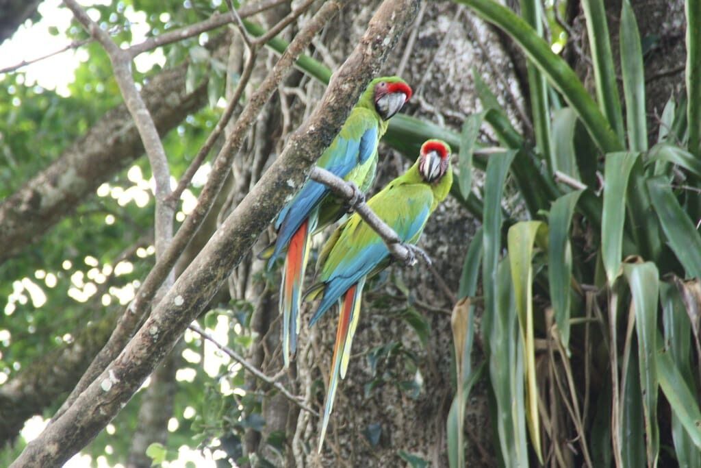 Photo of Outdoor in Cocles