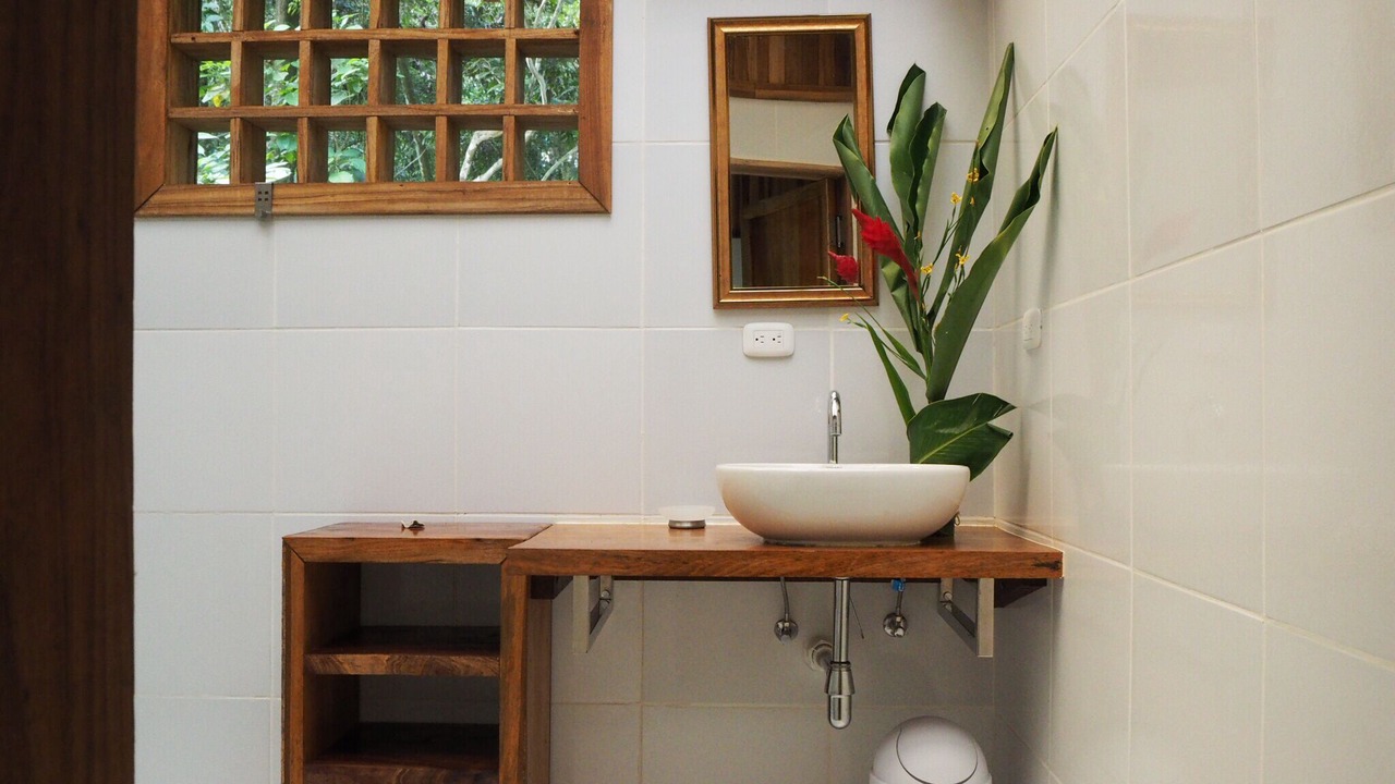 Photo of Bathroom in Cocles
